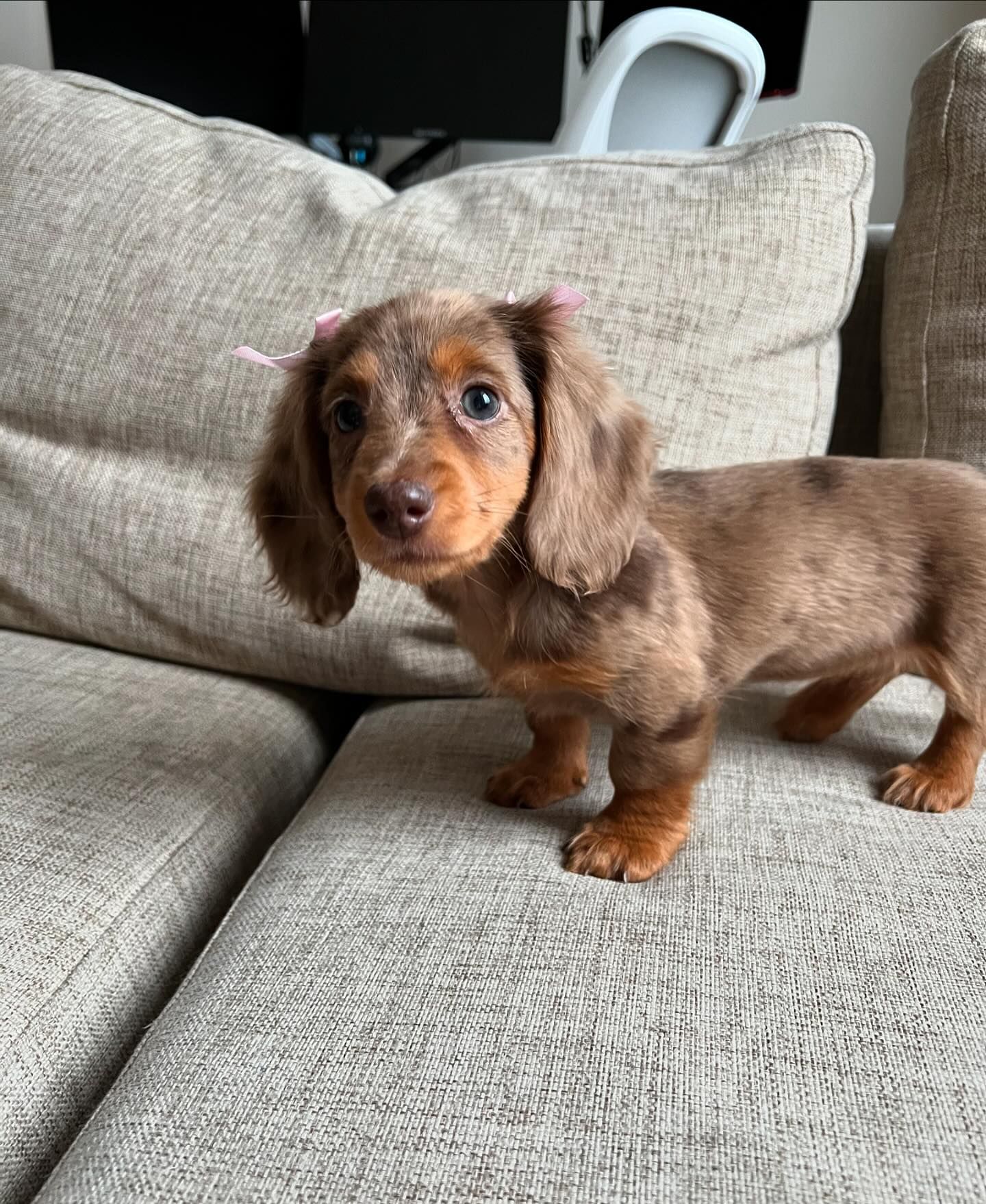 lumithedoxie_1729704039_3485332552622113016_70109965930 lumithedoxie_1729704039_3485332552622113016_70109965930