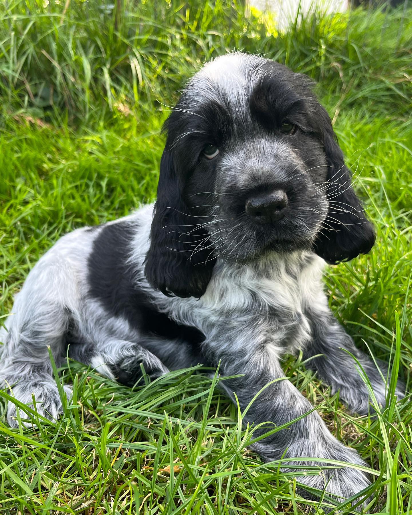 monsieur.leopold_1693760473_3183816065976319286_60924218786 monsieur.leopold_1693760473_3183816065976319286_60924218786